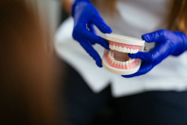 Why Choose Us for Your Dental Needs in Norwood Young America, MN
