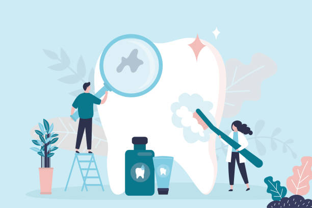 Professional  Holistic Dental Services in Norwood Young America, MN